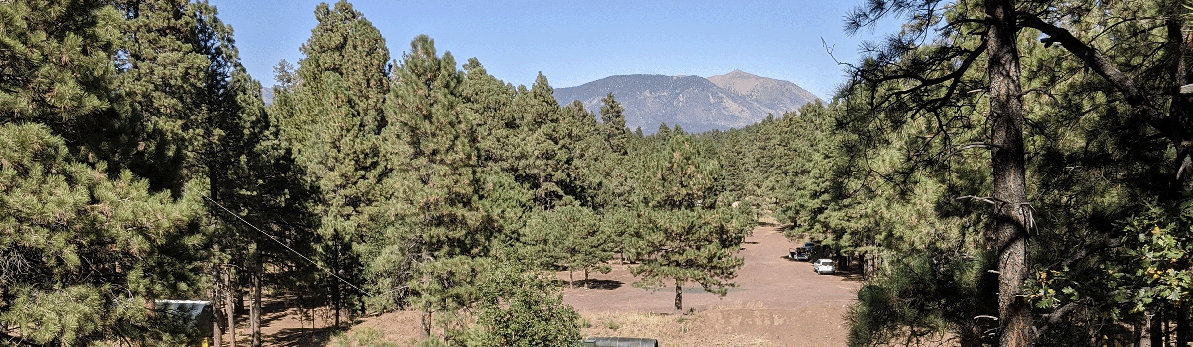 Photo of woodsy landscape at Fort Tuthill Small Arms Range Site