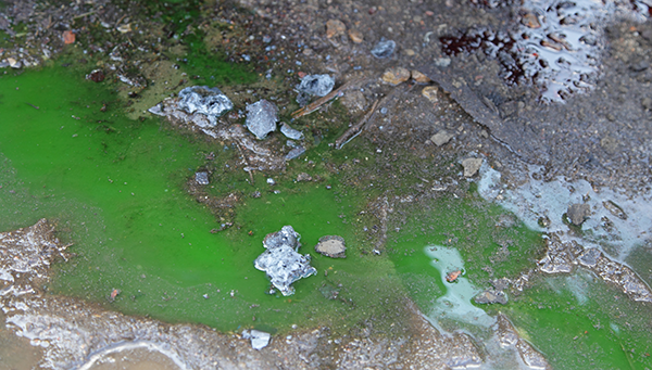 Spilled green antifreeze pooled on the ground among dirt and debris.